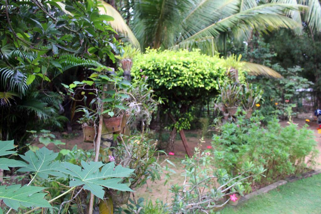 Anura Home Stay Kalutara Zewnętrze zdjęcie