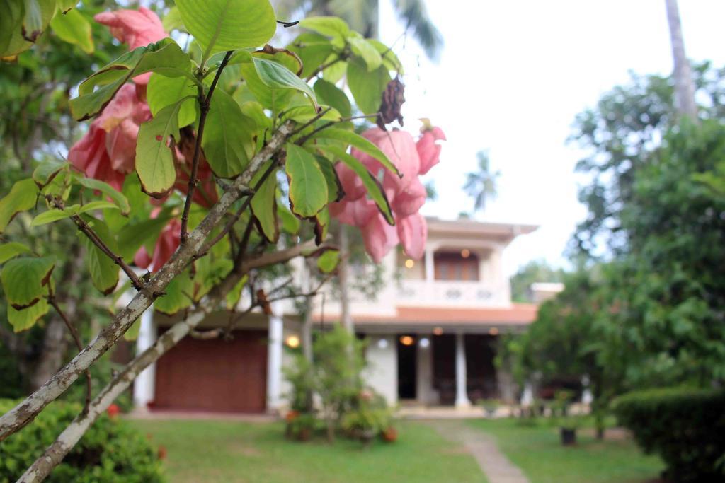 Anura Home Stay Kalutara Zewnętrze zdjęcie